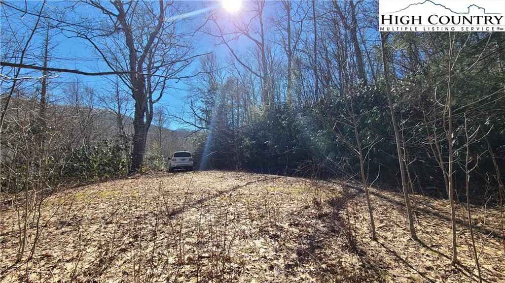 71 Beaver Dm Rd  