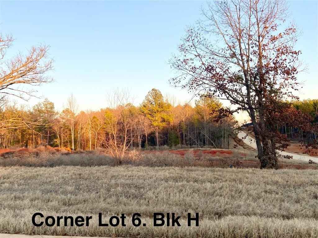 12348 Hackberry Holw Dr  