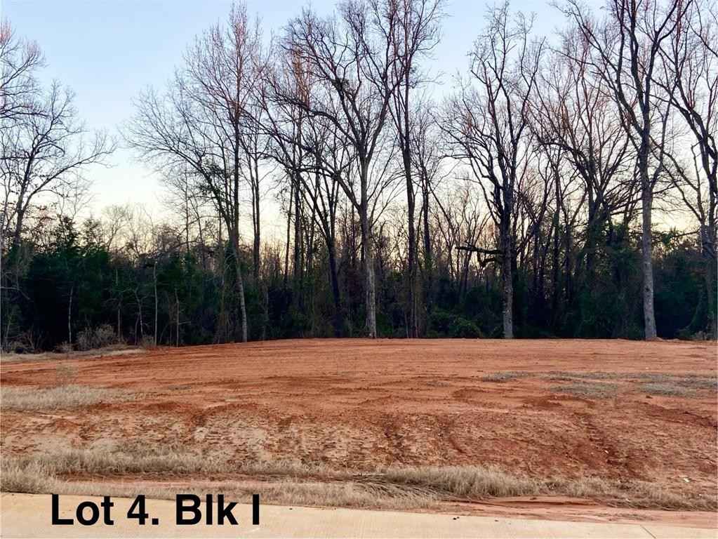 12331 Hackberry Holw Dr  