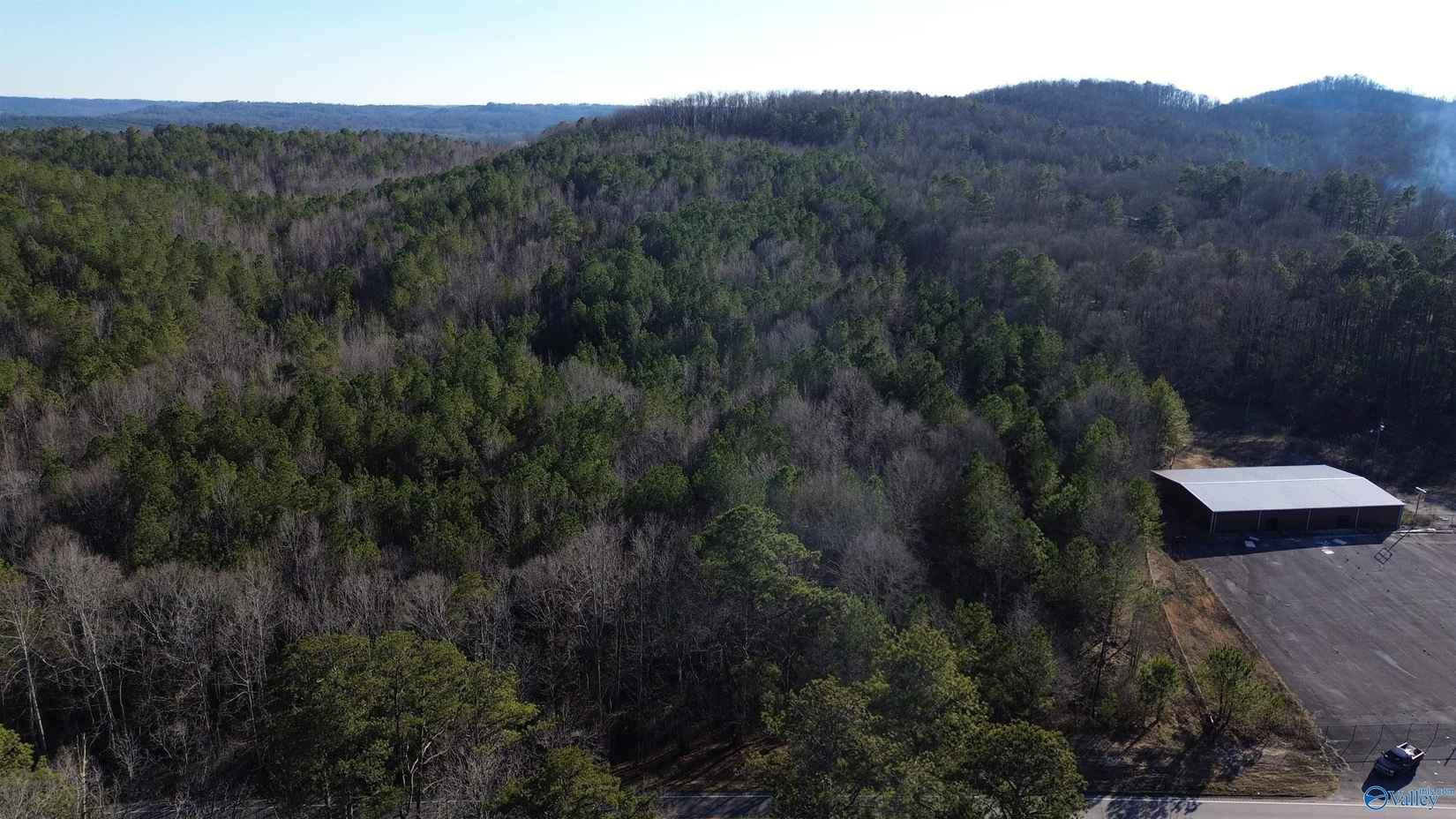 8 33 Acres US Hwy 278  