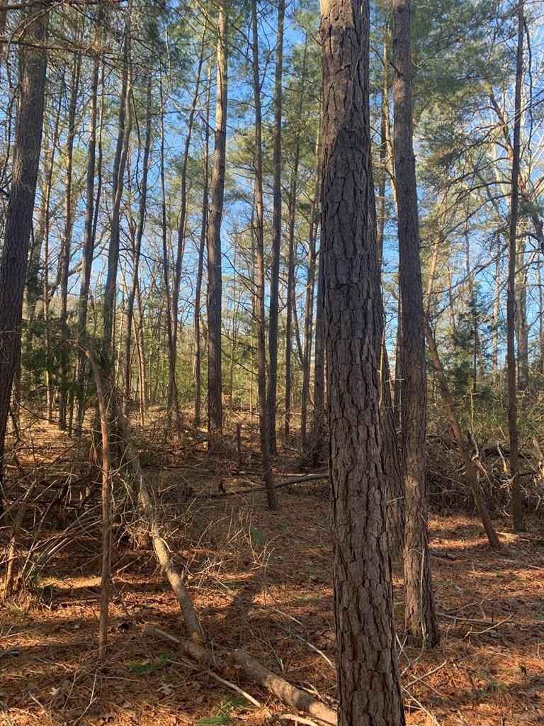 Lot 1 Locust Cv Rd  