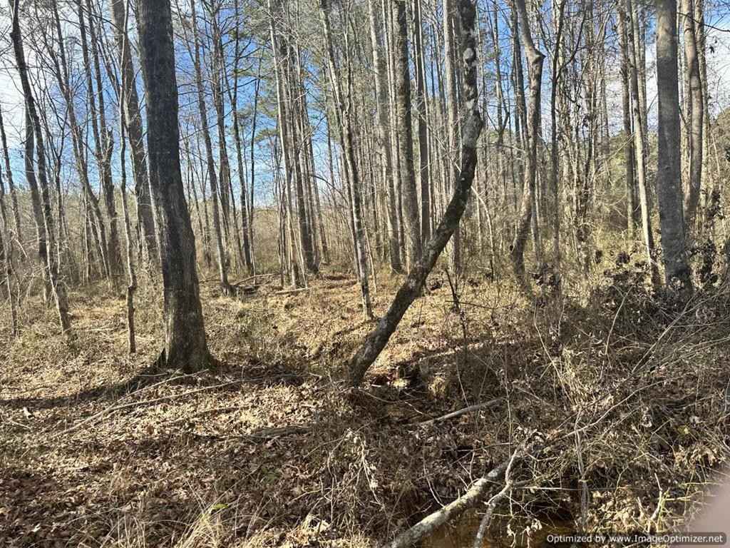 0 County Rd 5041  