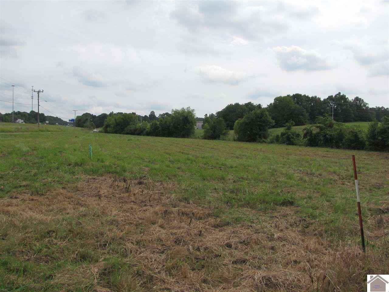 501 Old Symsonia Rd  