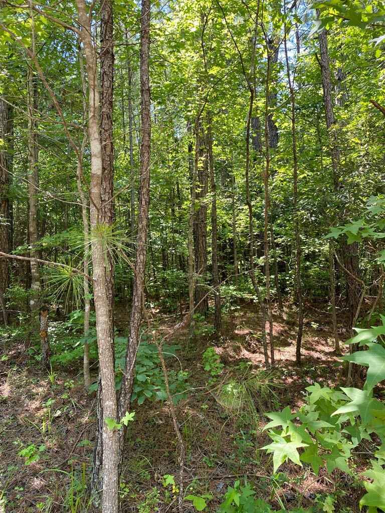 Lot 161 Jamesway Dr  