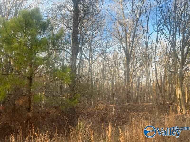 3 Acres County Rd 137  