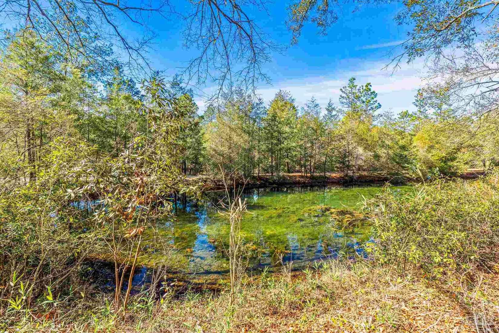 6622 Frank Reeder Rd  