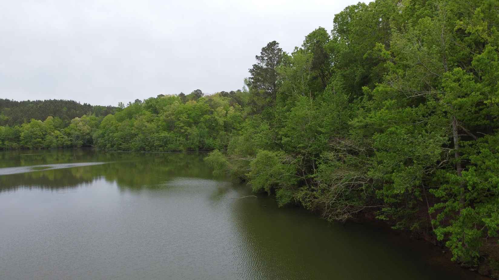 0 CO RD 51  
