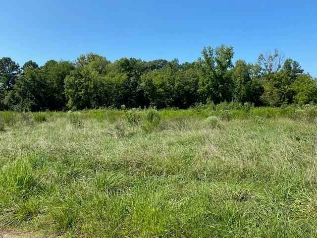 61 Johnson Ln NE  