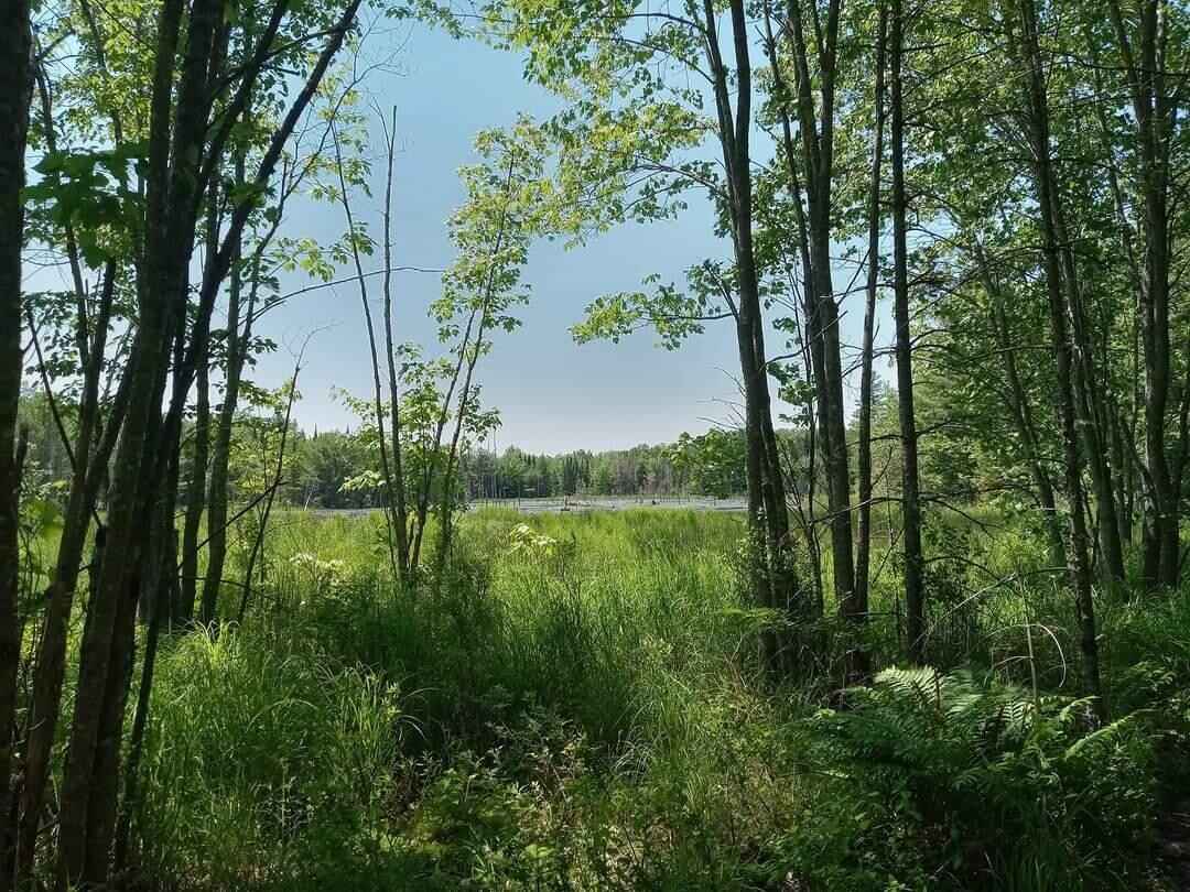 Lot Unit 3 Page Rd  