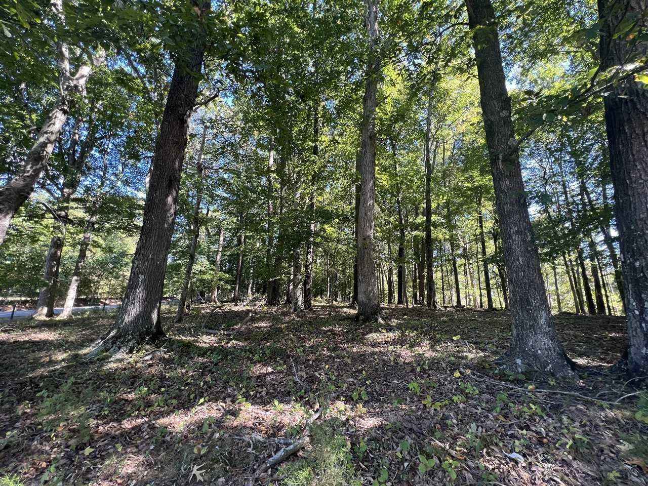 Lot 15 Gainesville Port Oliver Rd  