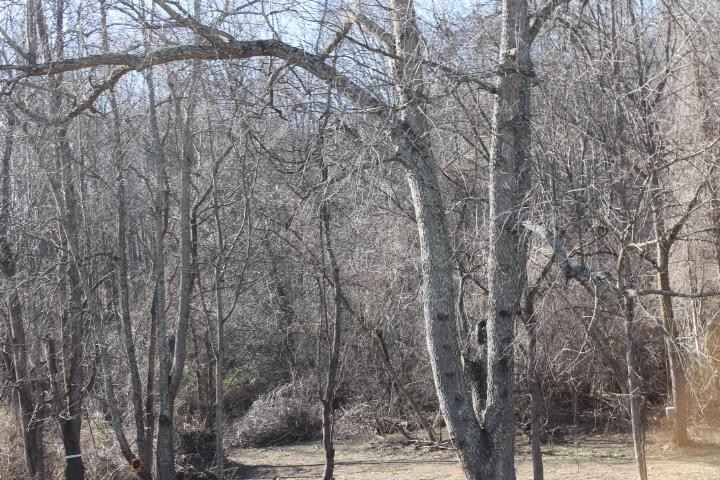 Trs 1 2 17410 SELF Hl DR  