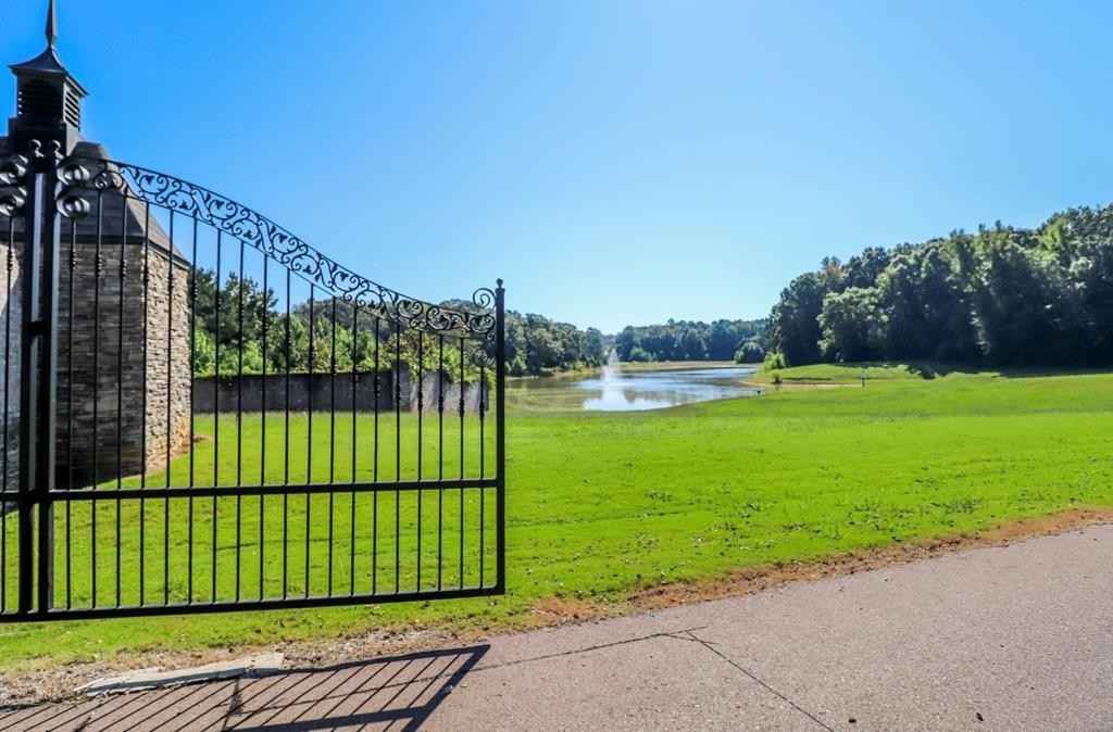 Saddle Tree Cv Lot 4  