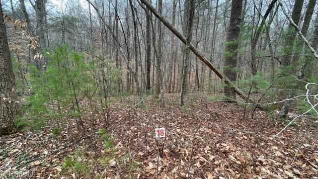 Lot 18 Woods Hvn Ln  