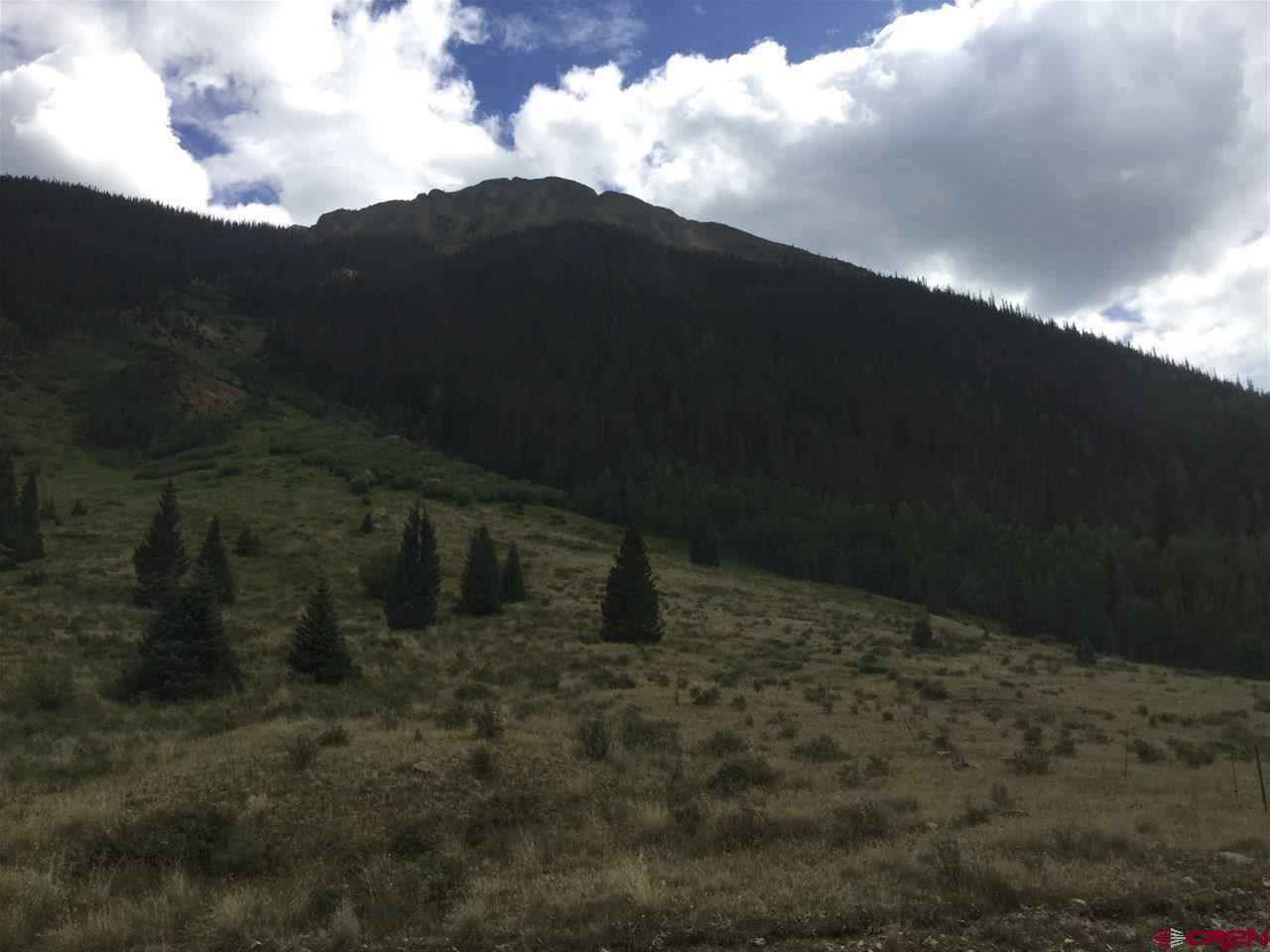 TBD CR 2 Silver Cord  