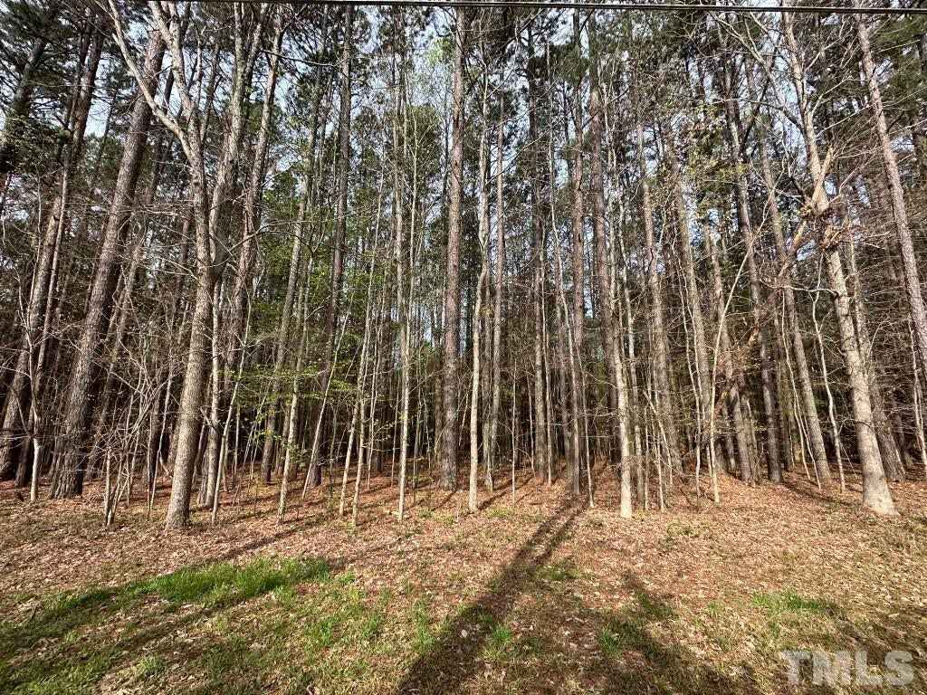 13533 OLD CREEDMOOR RD  