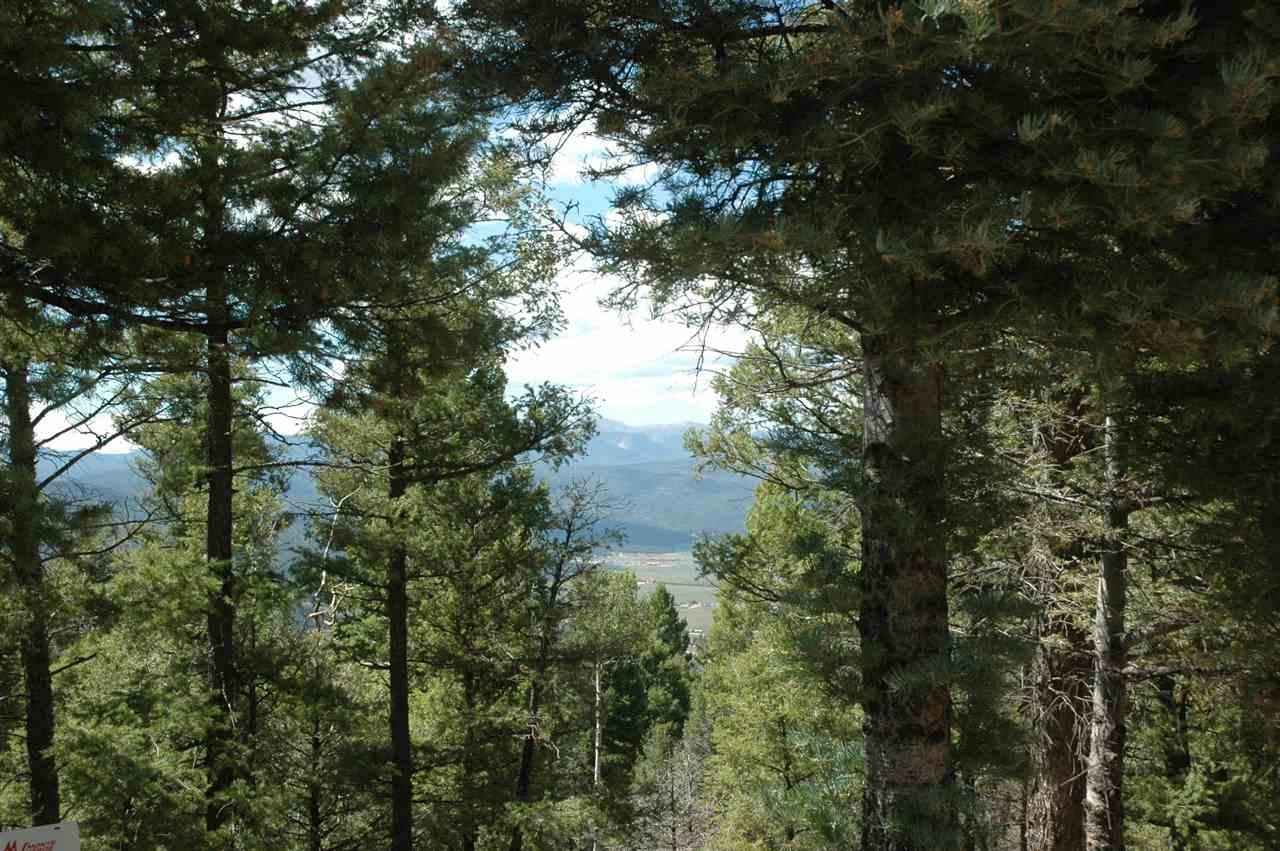 302 South Vail Overlook  