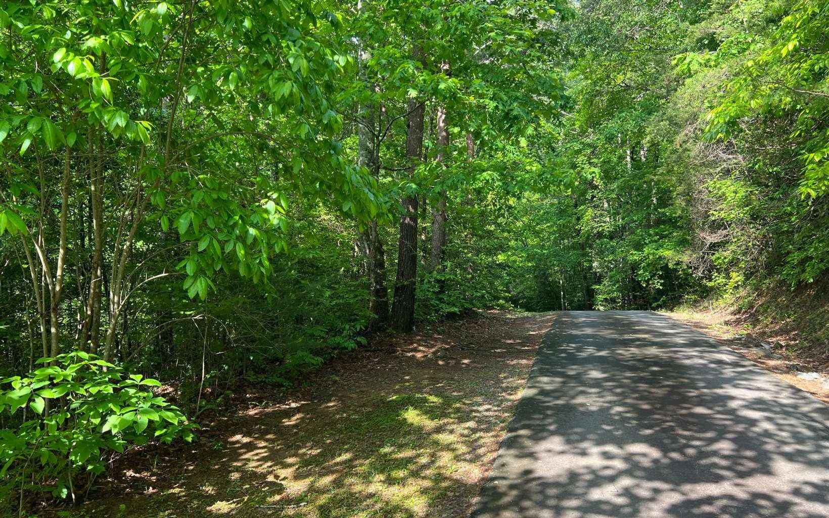 Lot 4 Chestnut Oaks Dr  