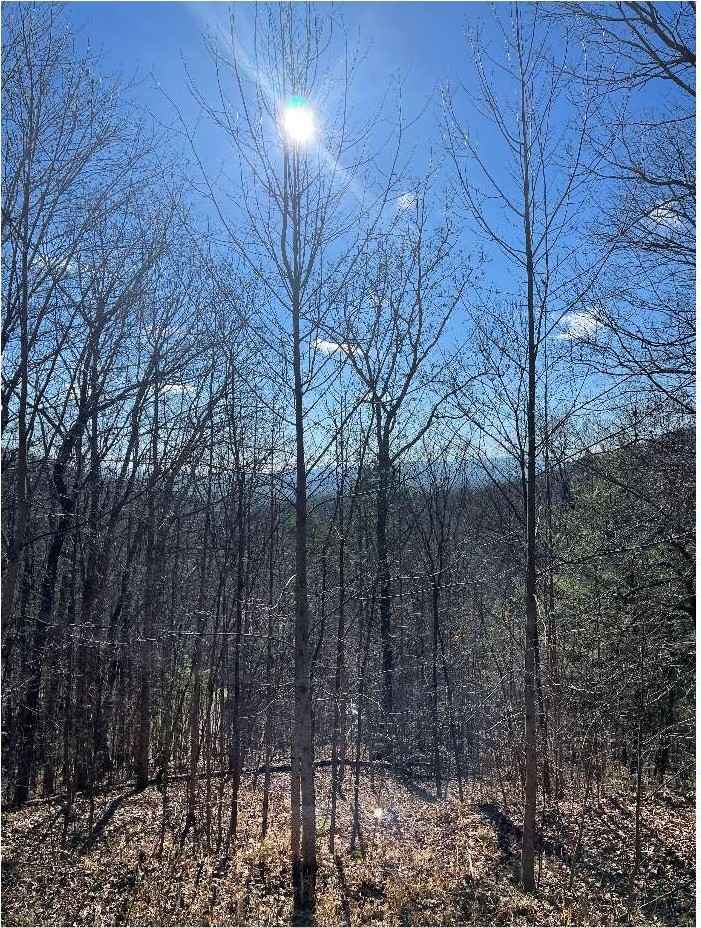 45/51 Wolf Mtn Rd  