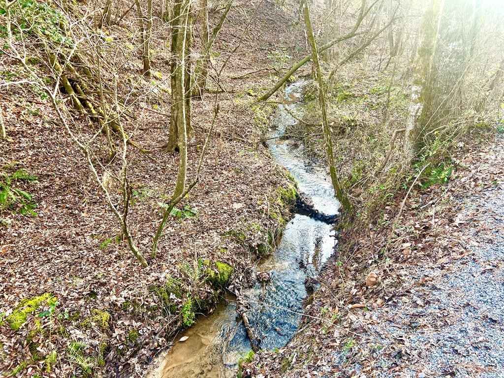 12 Acre Pleasant Gap Rd  