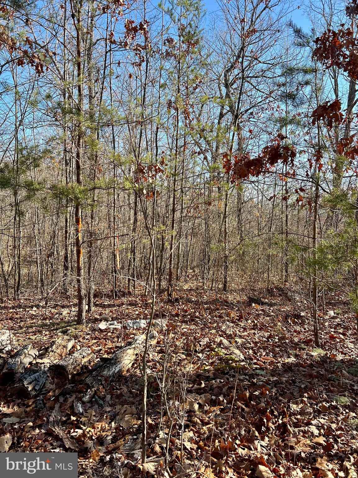 TBD 53 MIRACLE Spgs RD  