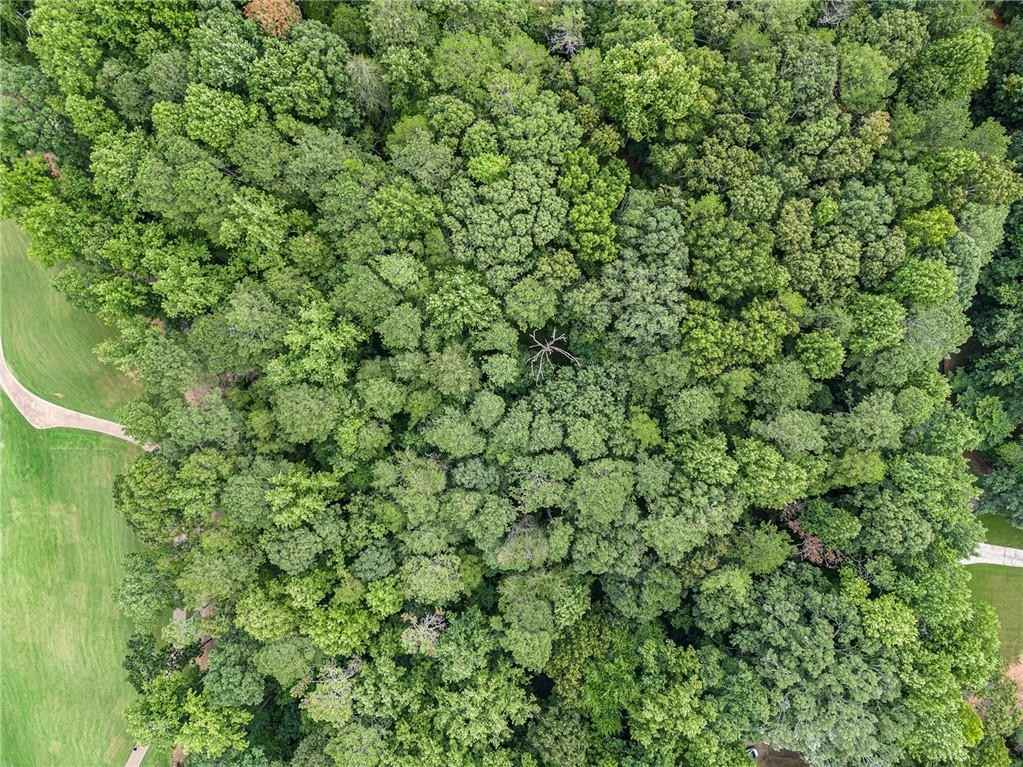 102 Brook Hollow Lk Trl  