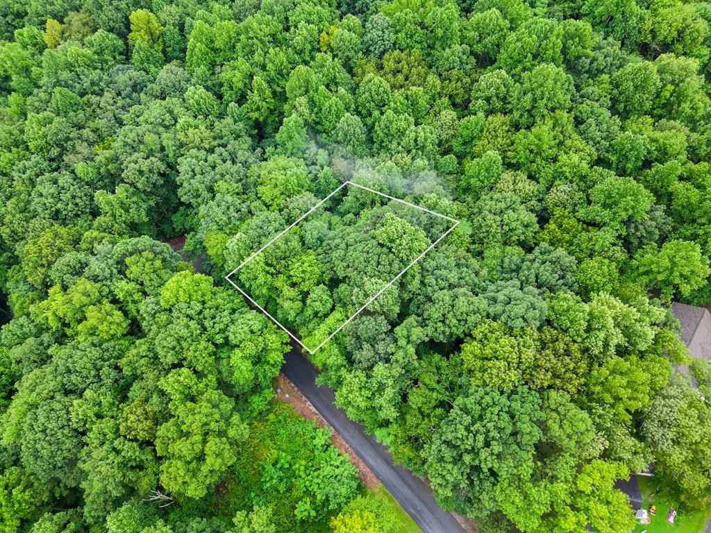 Lot 331 Tuco Ct  