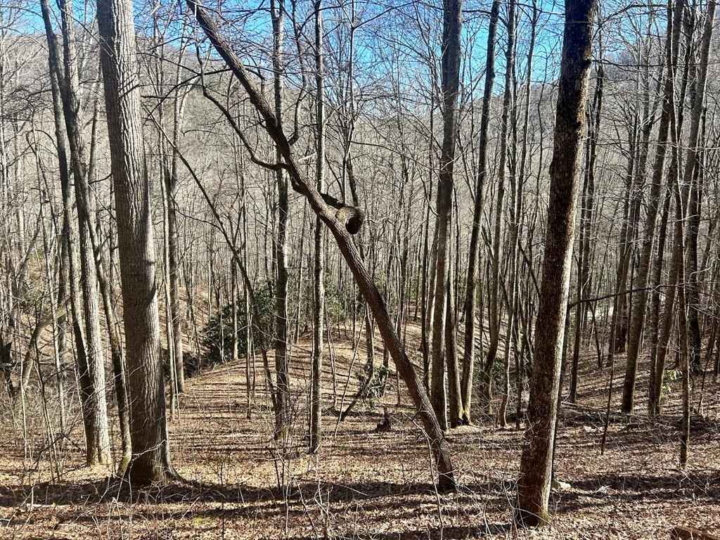 52 53 Coppermine Rdg  
