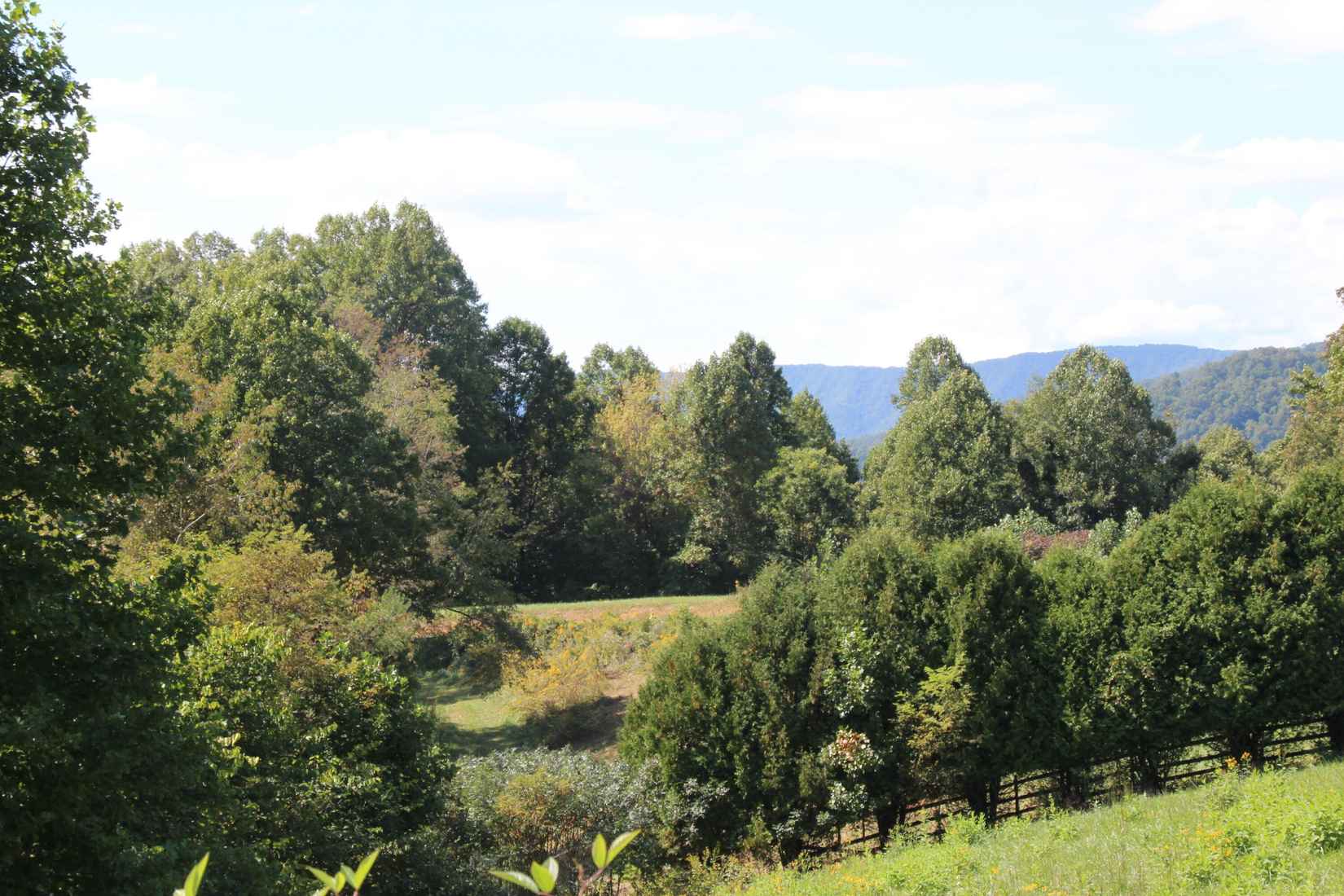 Lot Unit 49 Redbud Cir  