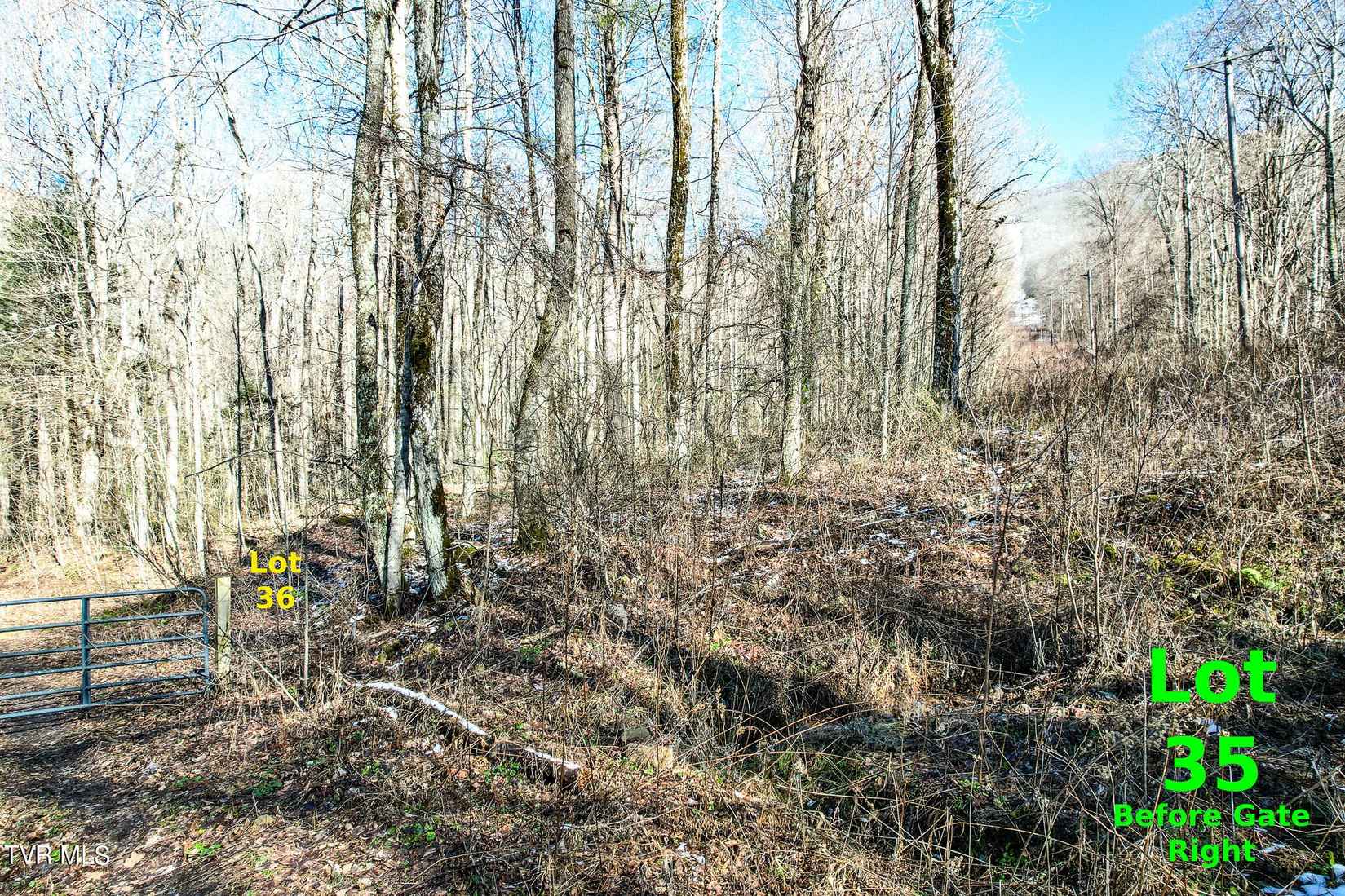 Lot 35 Hemlock Dr  
