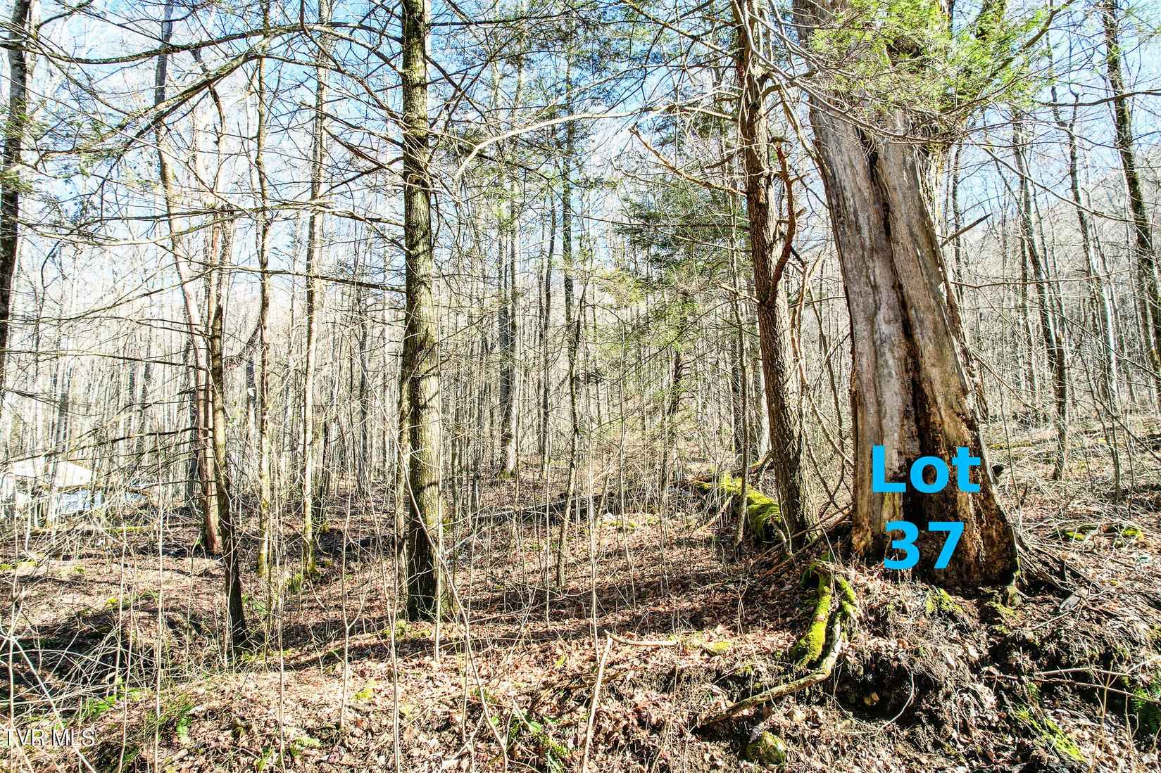 Lot 37 Hemlock Dr  
