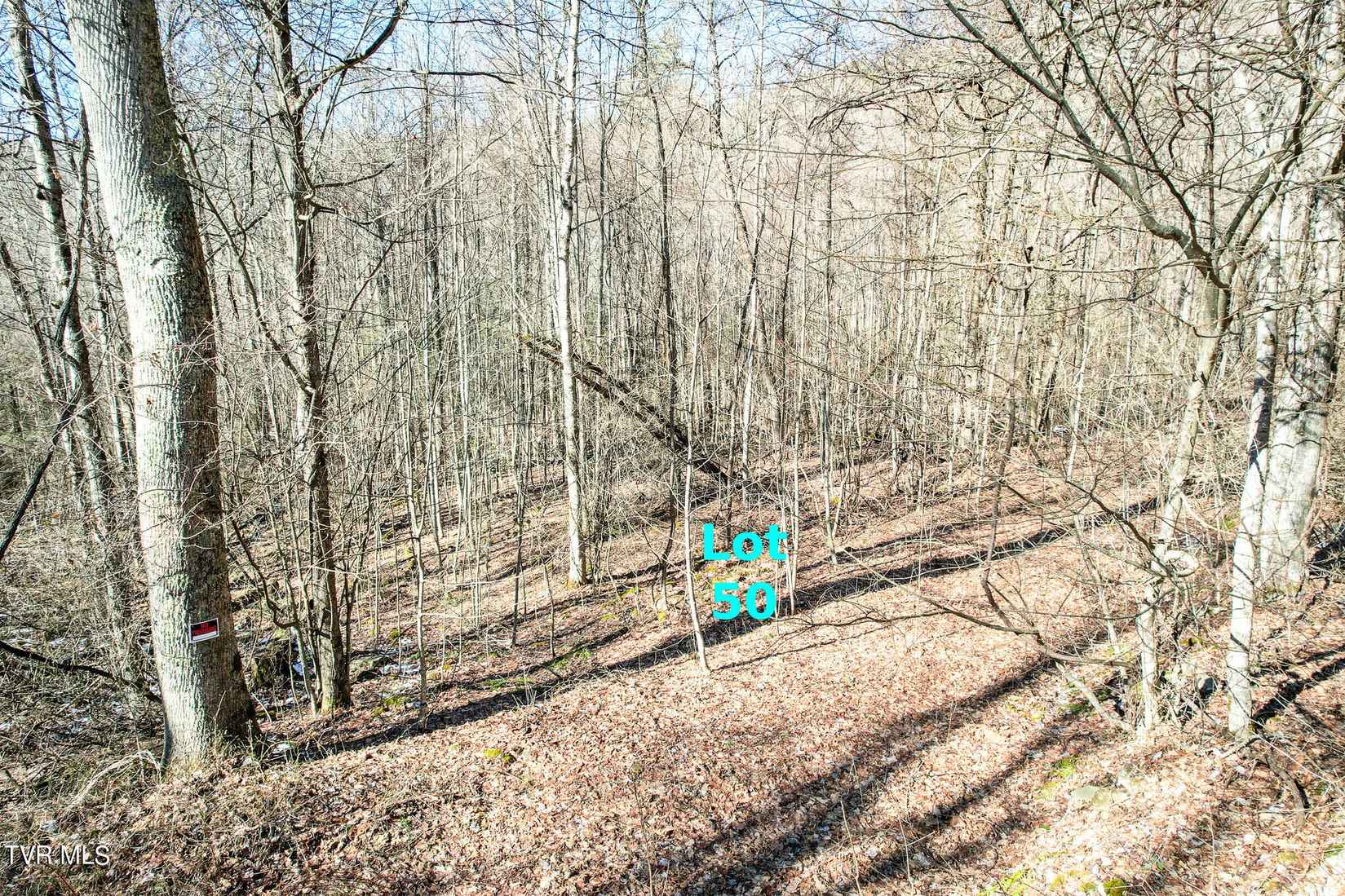 Lot 50 Hemlock Ln  