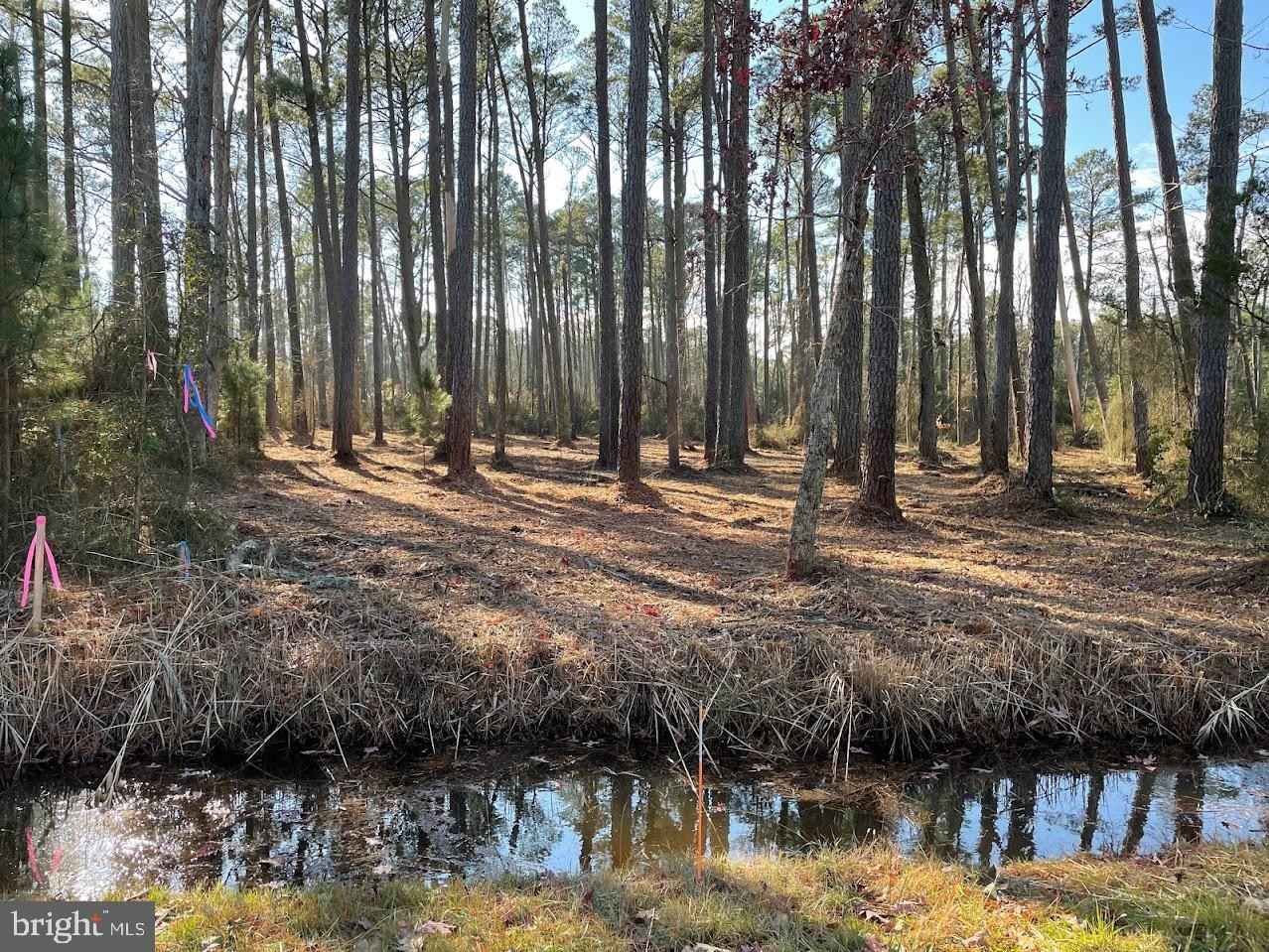 Lot 5 Nevette Muir Rd  
