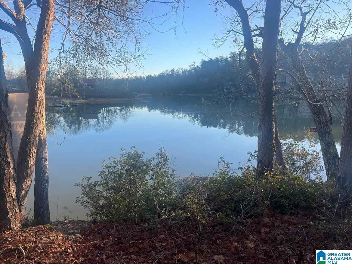 Lot 91 SIPSEY OVERLOOK Dr  