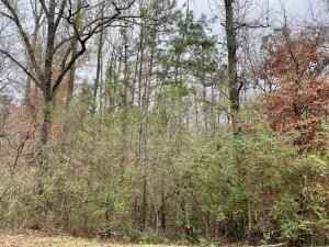Lot 43 ALTHEA Loop  