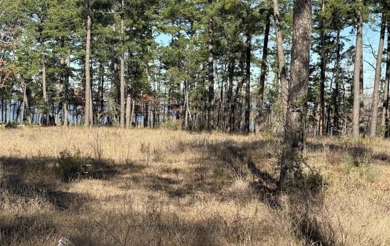 TBD Private Rd 6026  