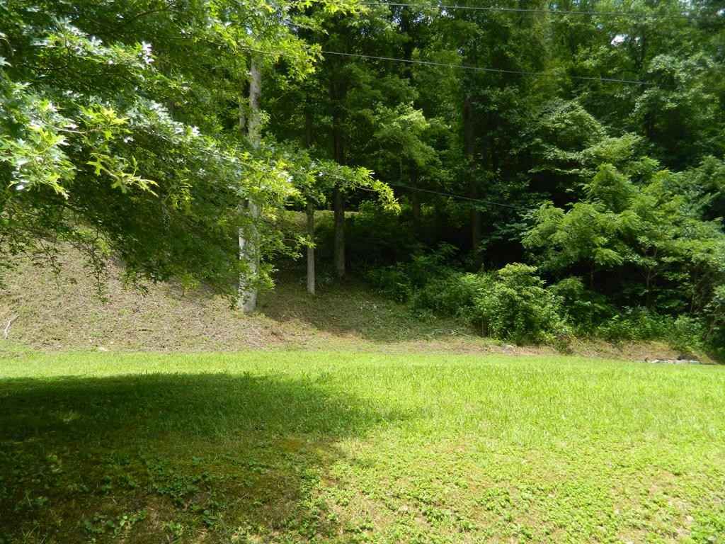 454 Newsome Br  
