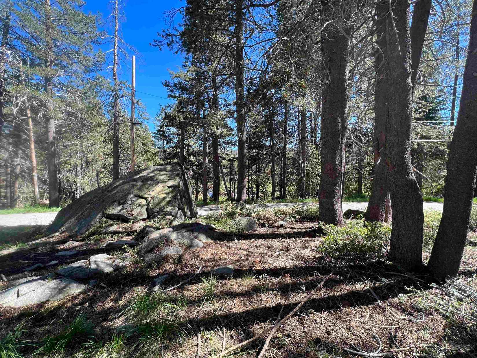 50486 Conifer Dr  