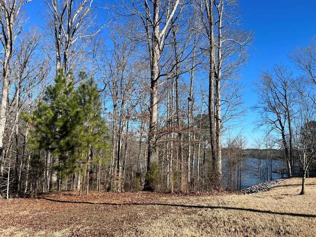 Excalibur Trail (Lot 237)  