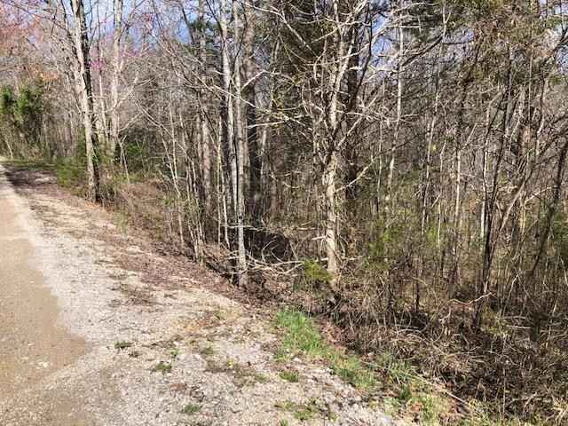 Lot 10 Livingston Hwy  