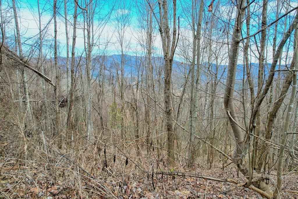 Lot 123 Shiloh Dr  