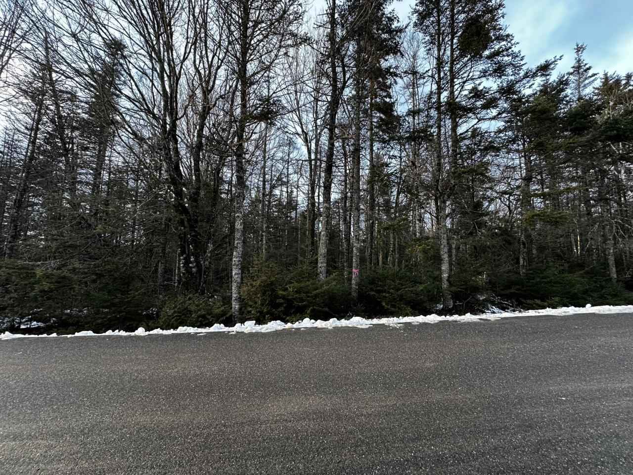 94 Yoho Head Rd  