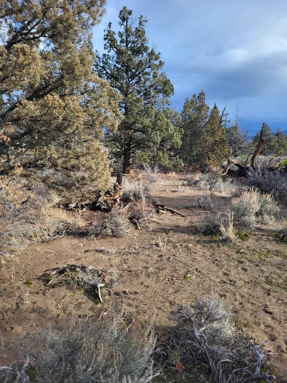 Blk 72 Lot 23 Nemeth Dr  