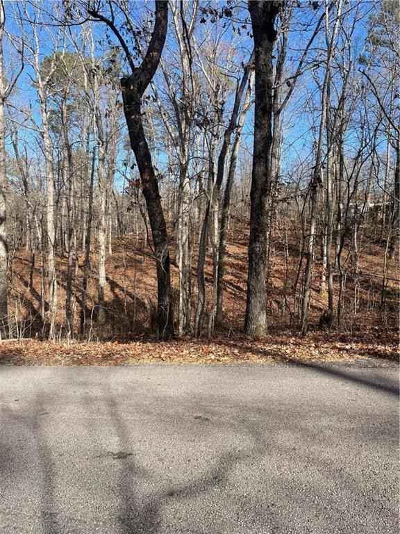 389 Chattahoochee Way  