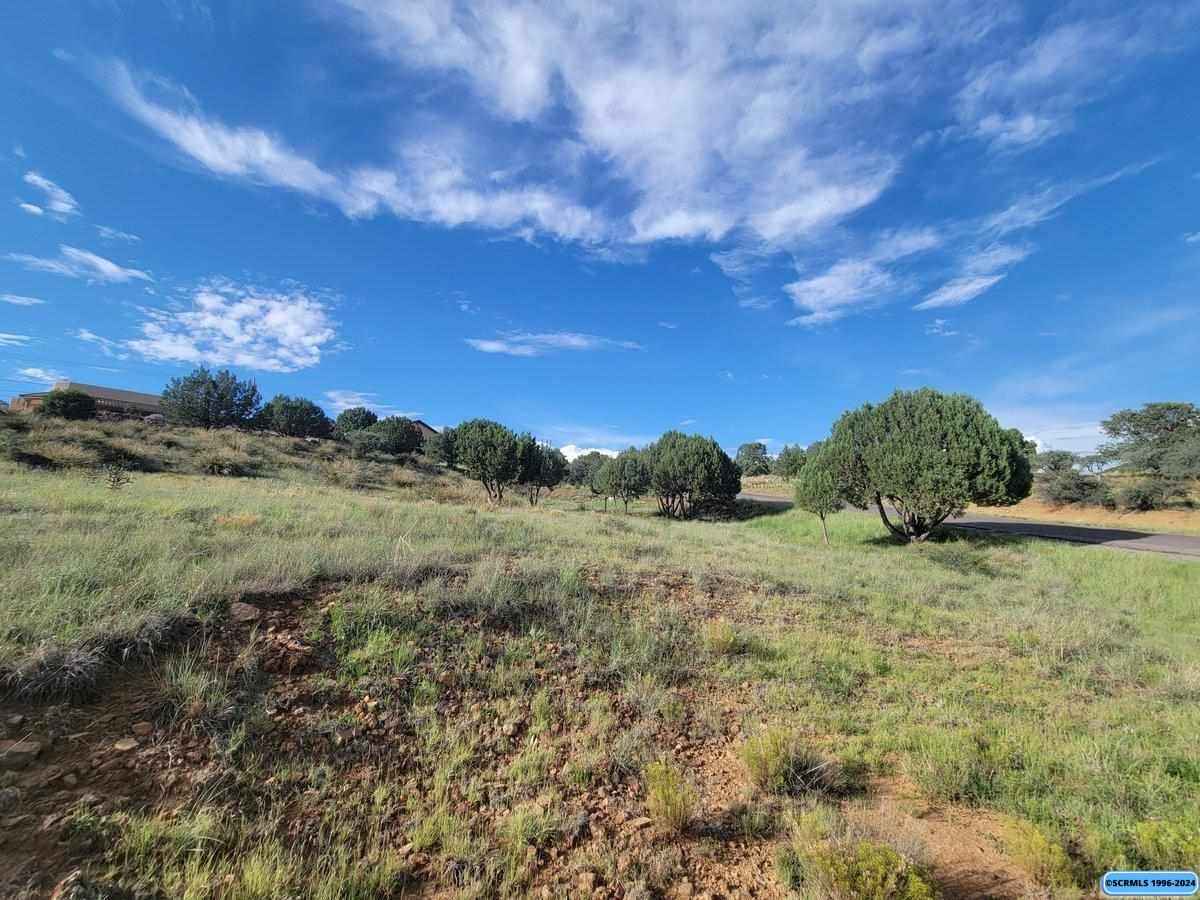 Lot 3 COPPER Rdg RD  