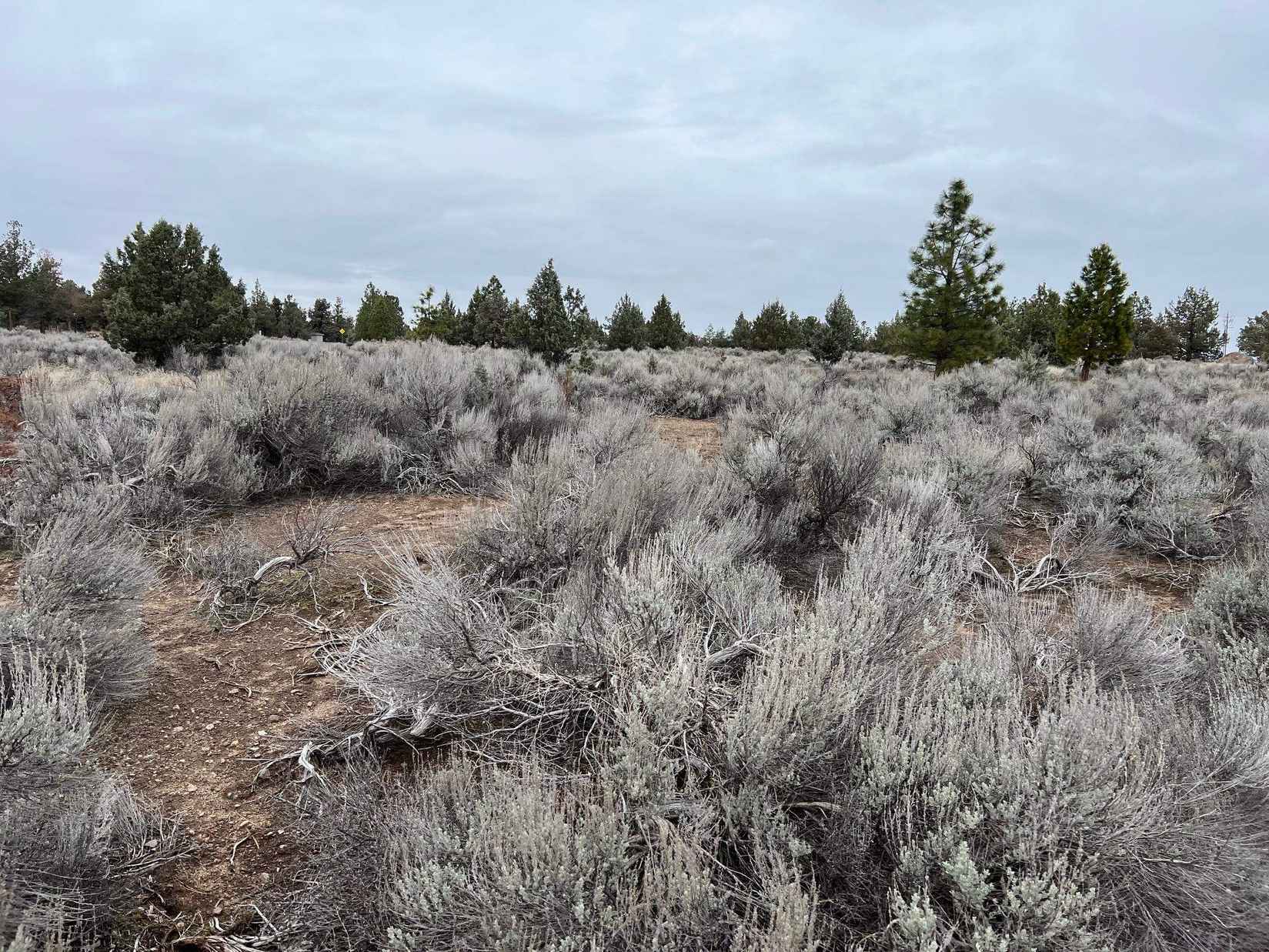 9-1 Lot 145 Brookside Rd  