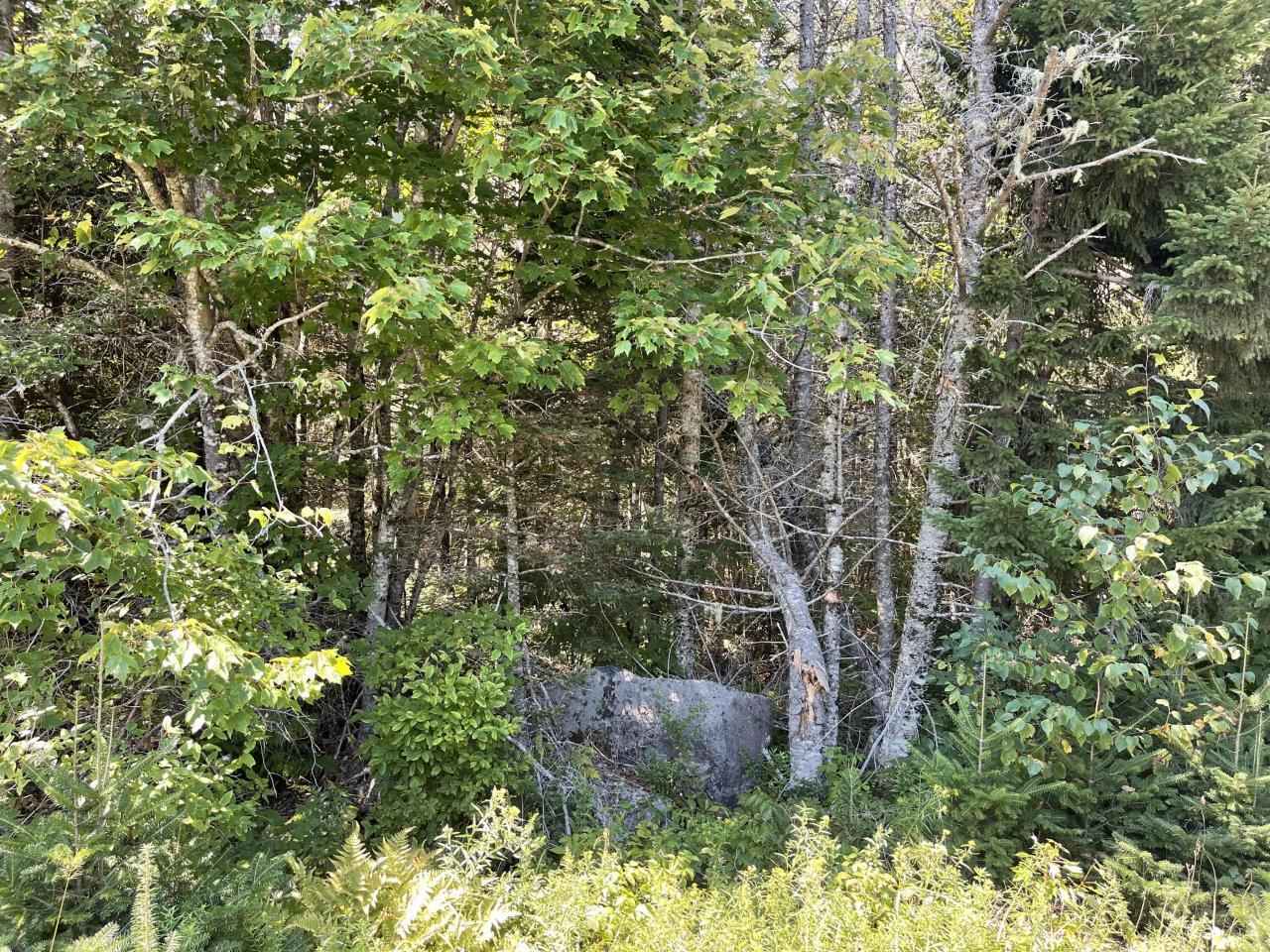 Lot 10 Pidgeon Pt Rd  