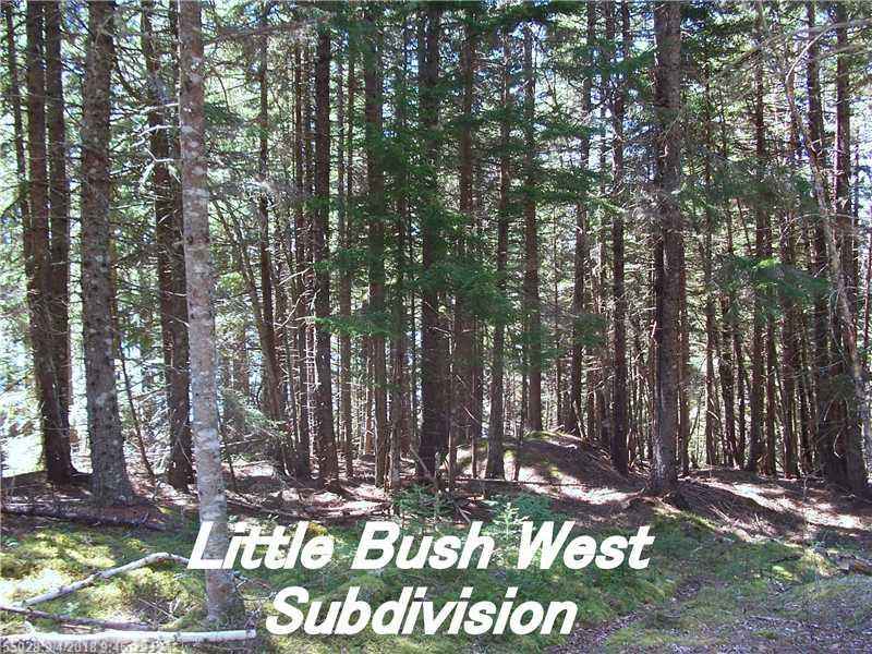 4 Lot Unit 4 - Us Route 191 N  