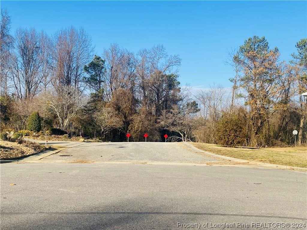 26 5 Acres McIntyre Land  