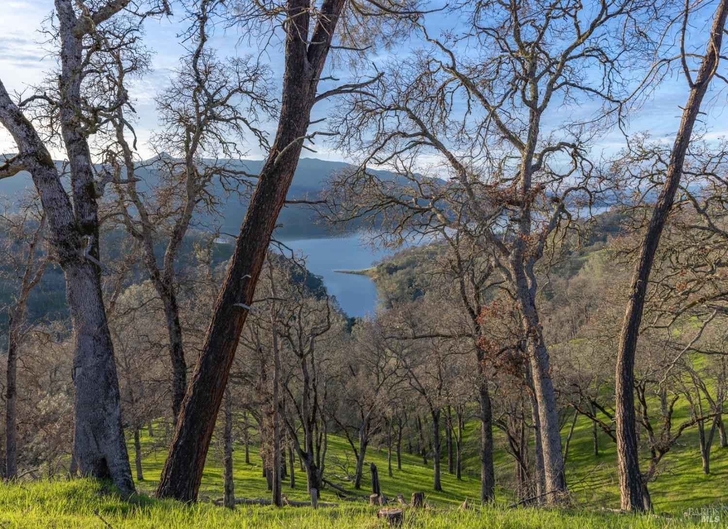 1123 Steele Cyn Rd  