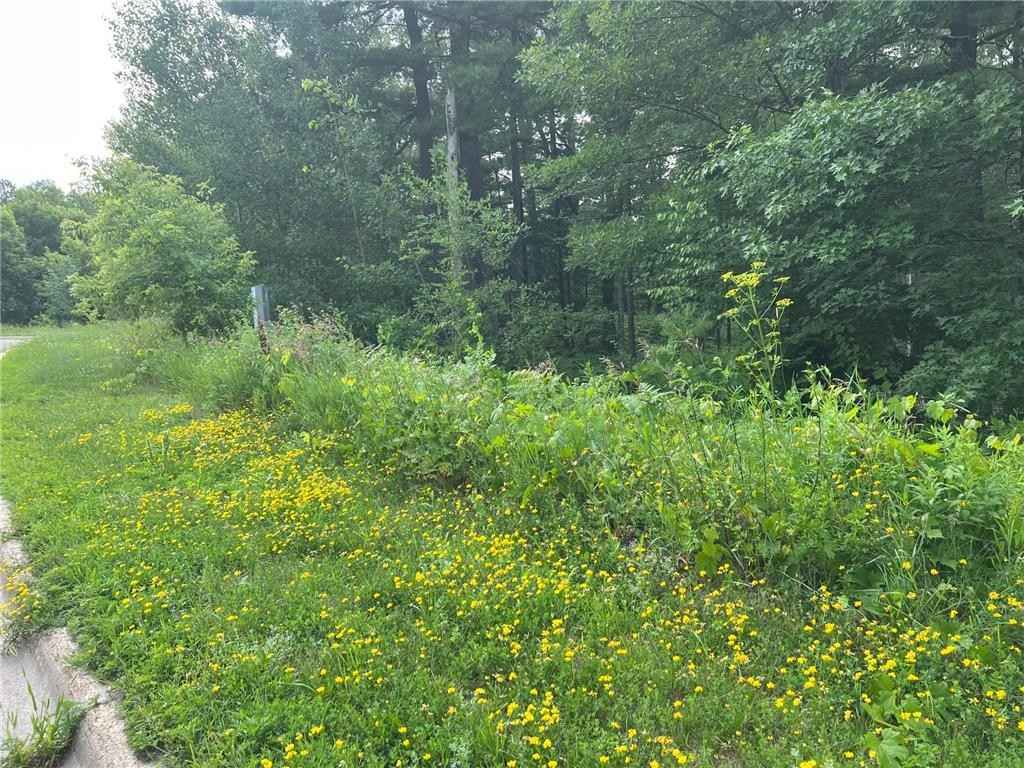 Tbd Lot 3 5th St S  